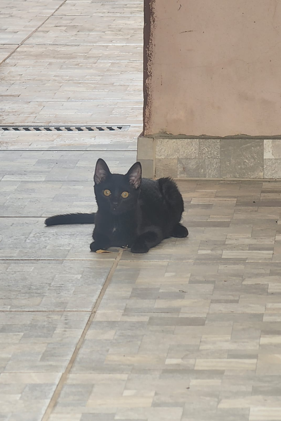 Foto de Mingau