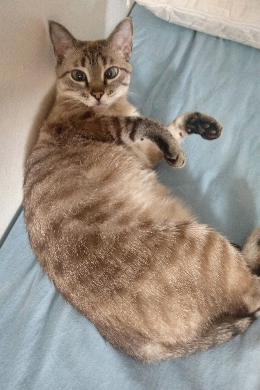 Foto de Fiona