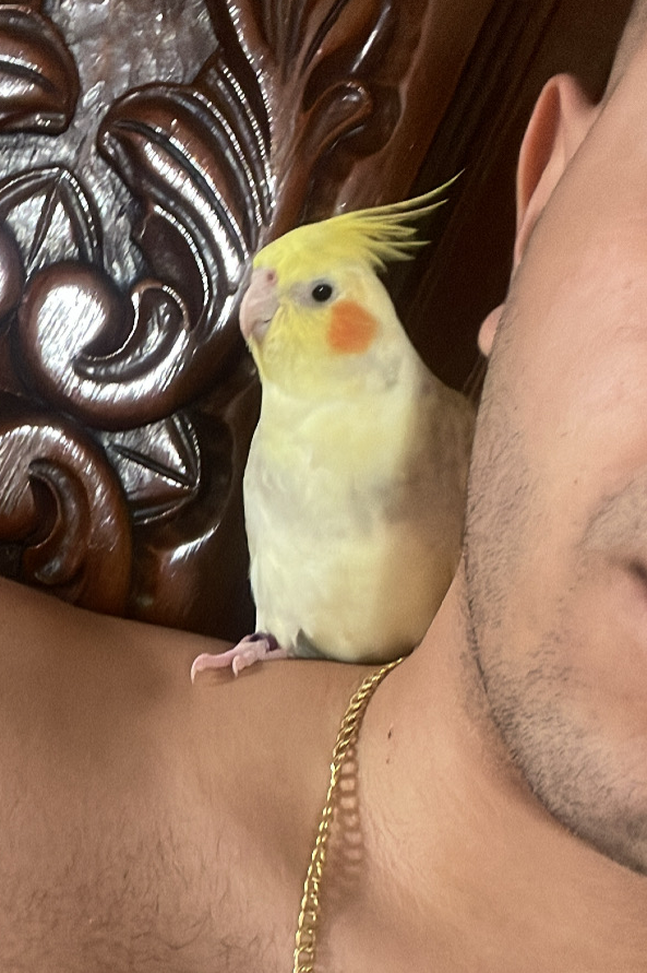 Foto de Nina