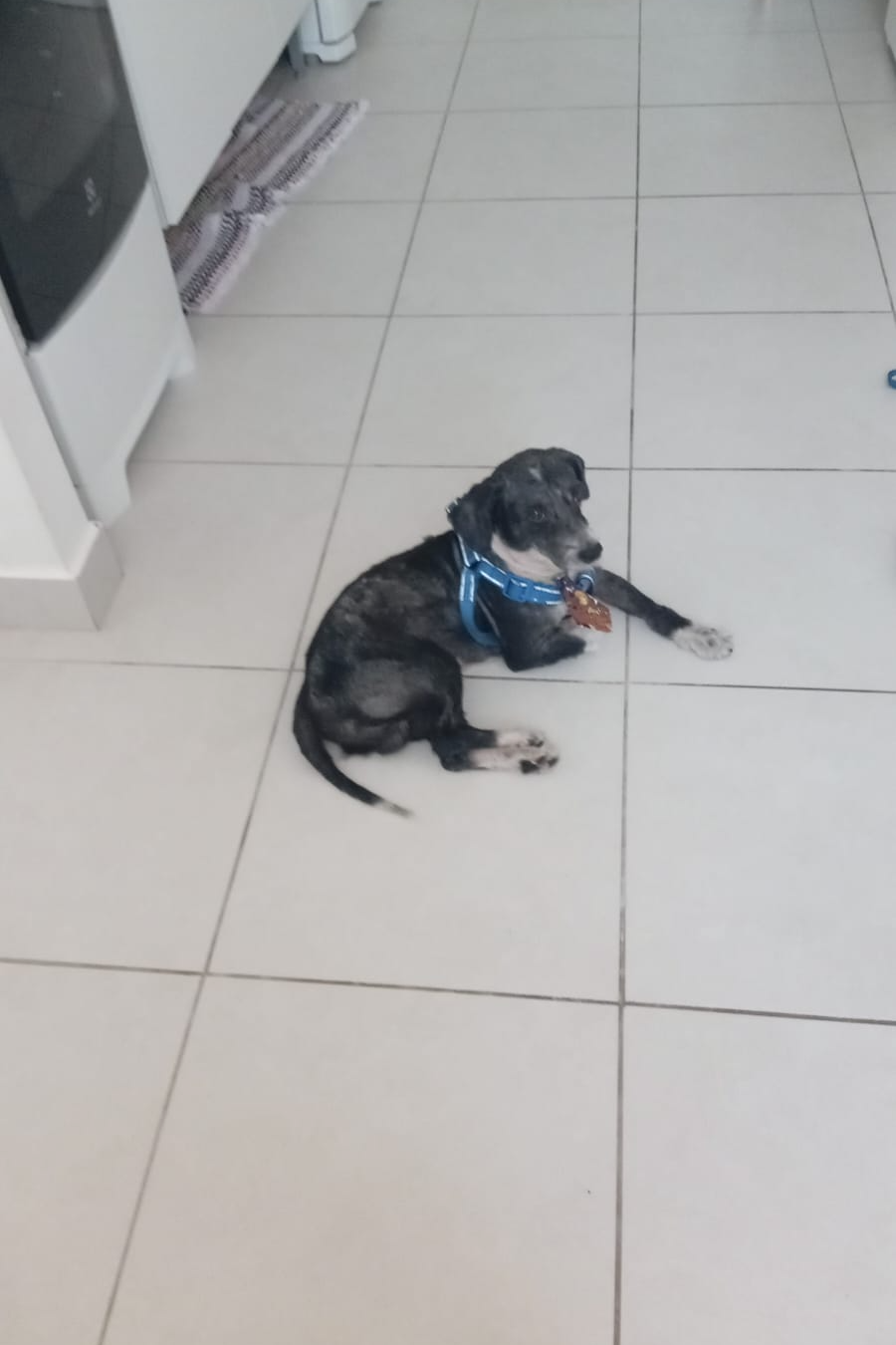 Foto de Pretinho