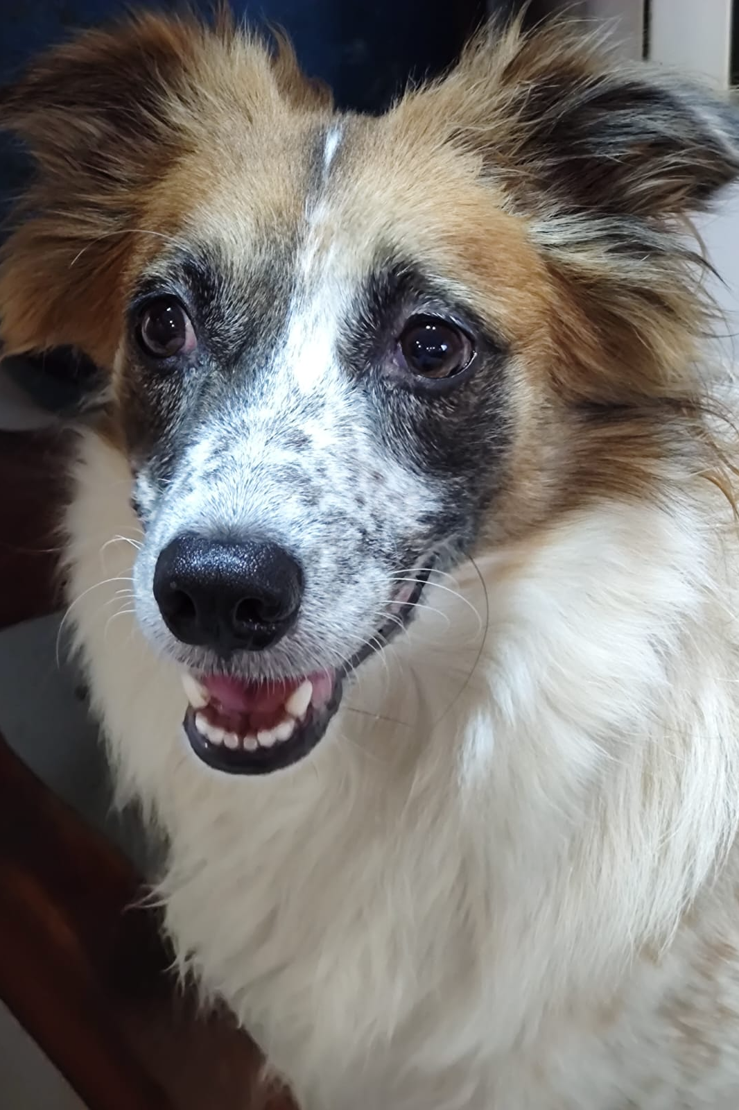 Foto de Nina
