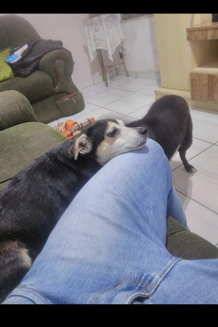 Foto de Pitica