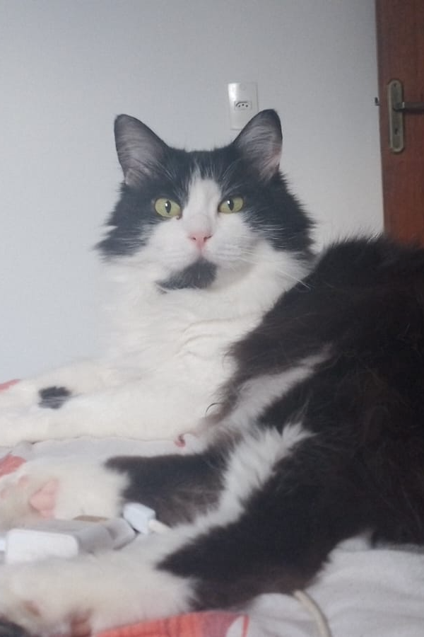 Foto de Romeu