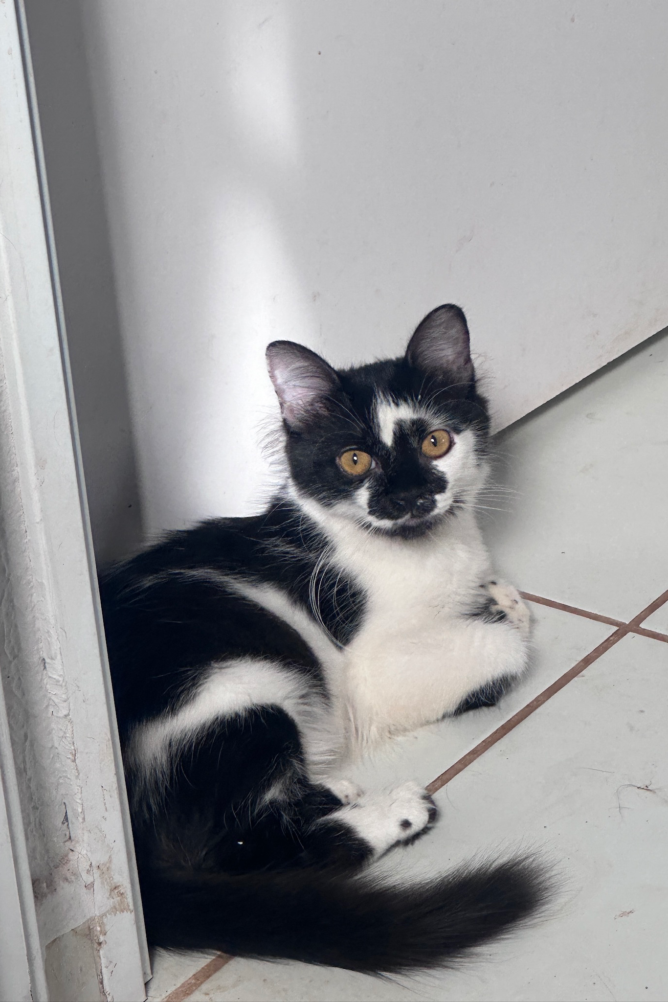 Foto de Lua