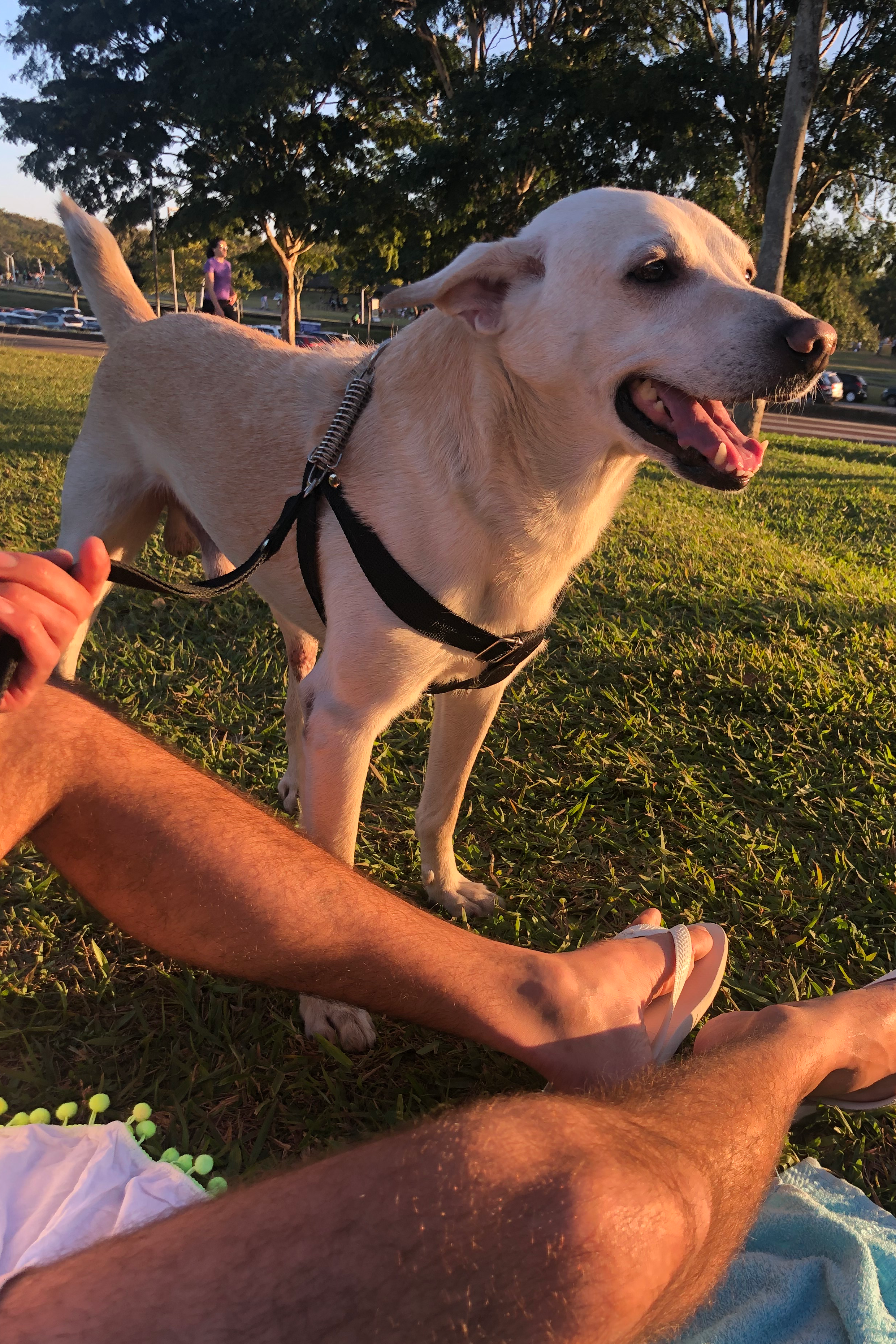 Foto de Max