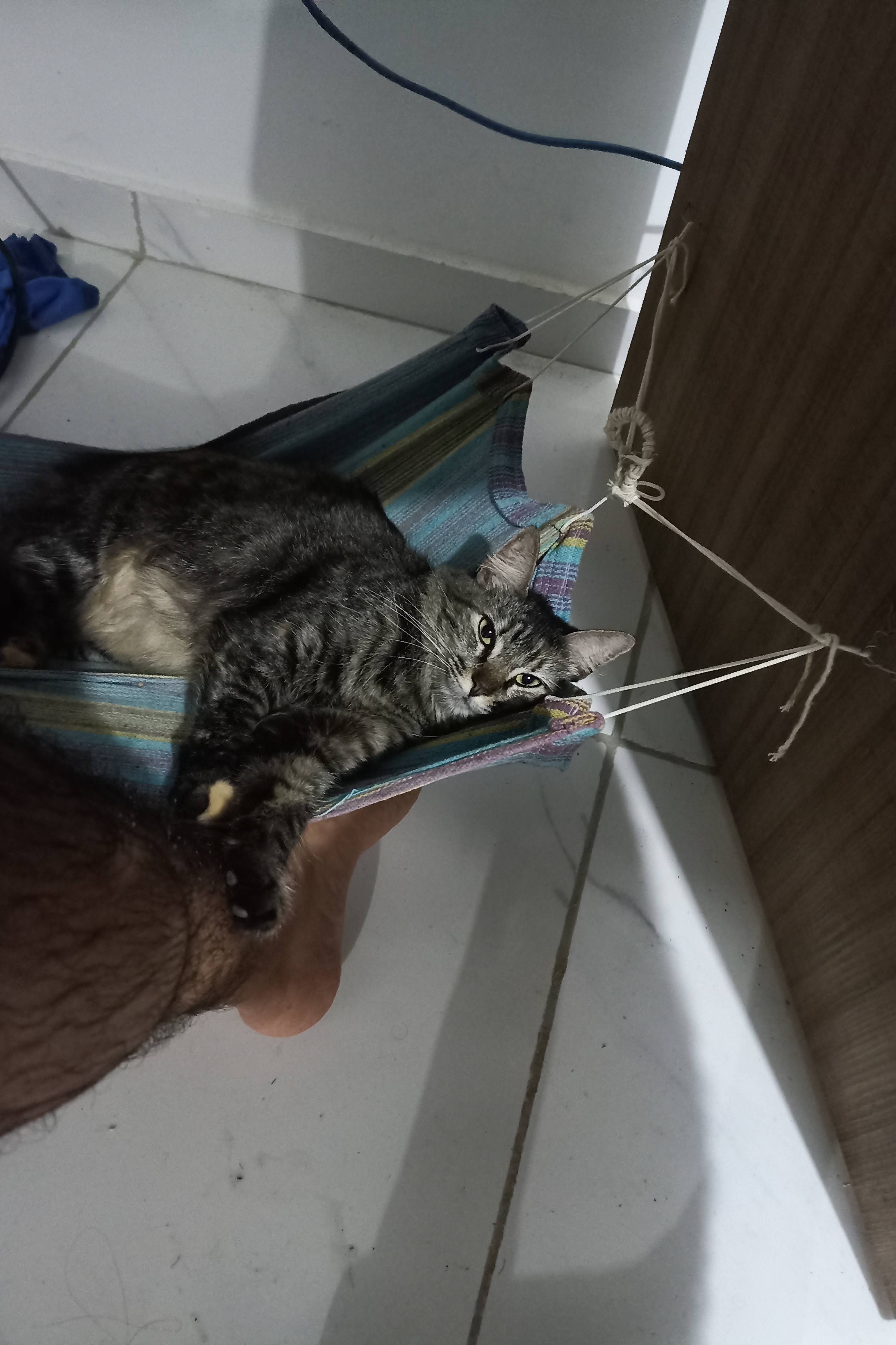 Foto de Roberta