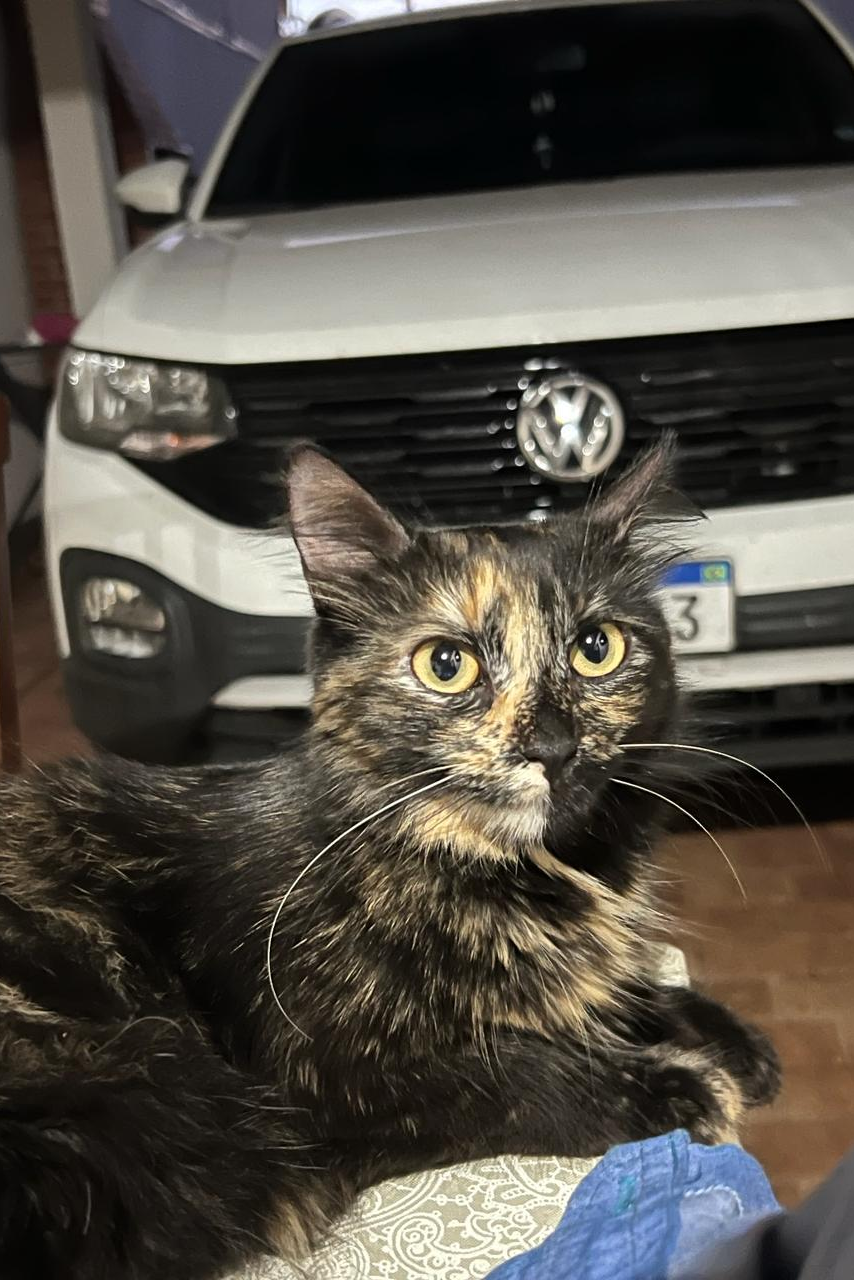 Foto de ZULEIKA