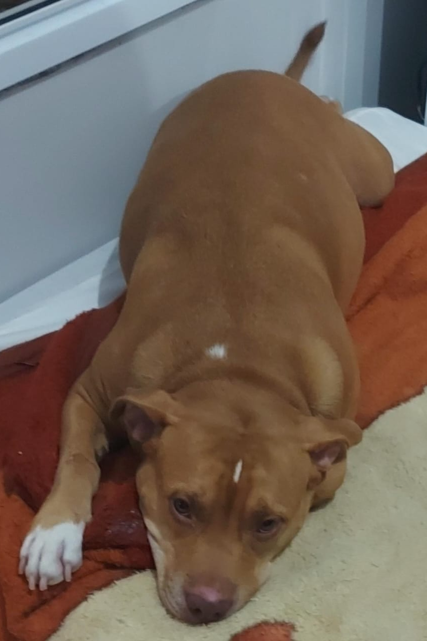Foto de Kiara