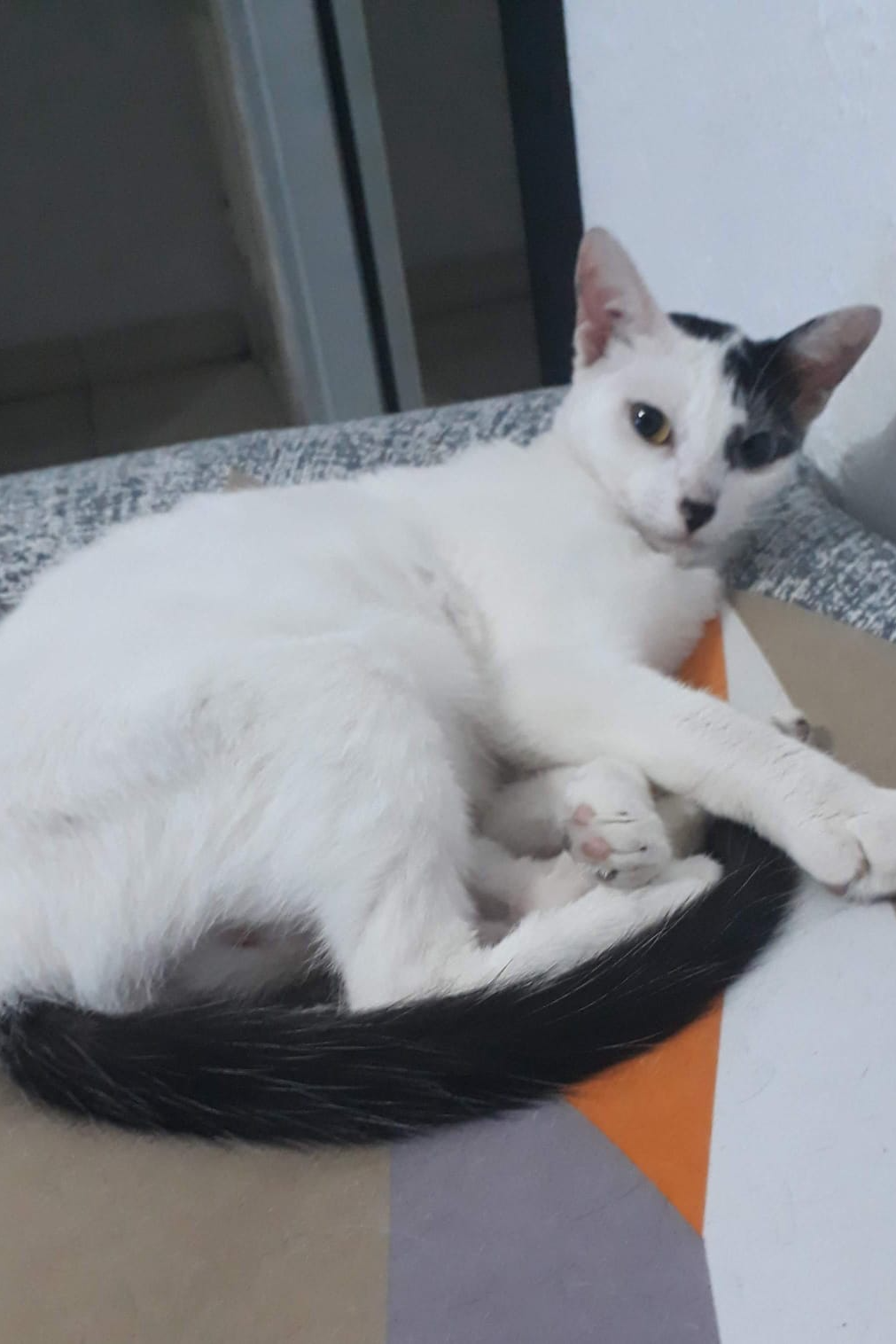 Foto de Rina