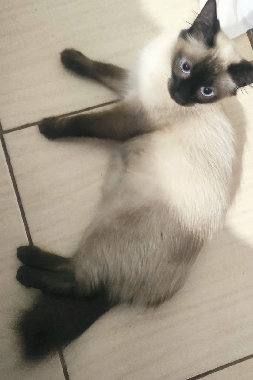 Foto de Menina
