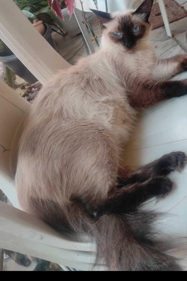 Foto de Menina