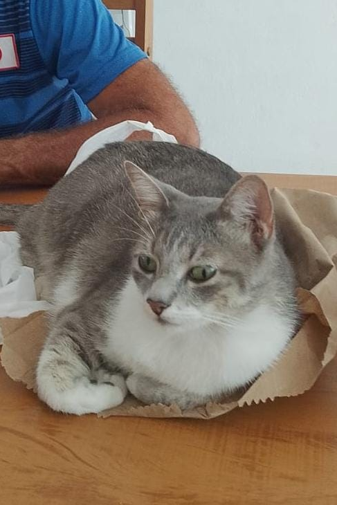 Foto de Guibilt
