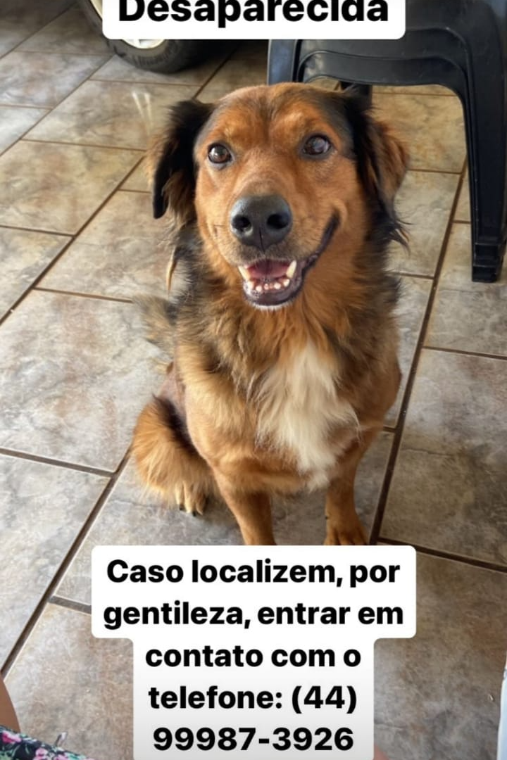 Foto de Lilica
