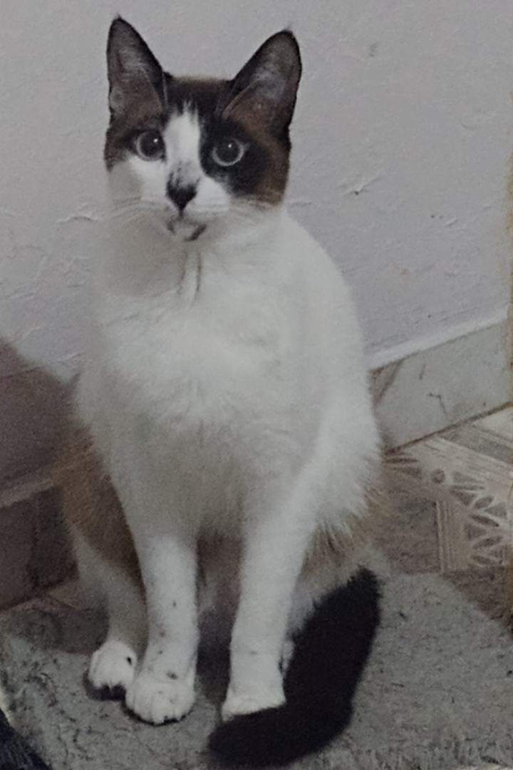Foto de Mia