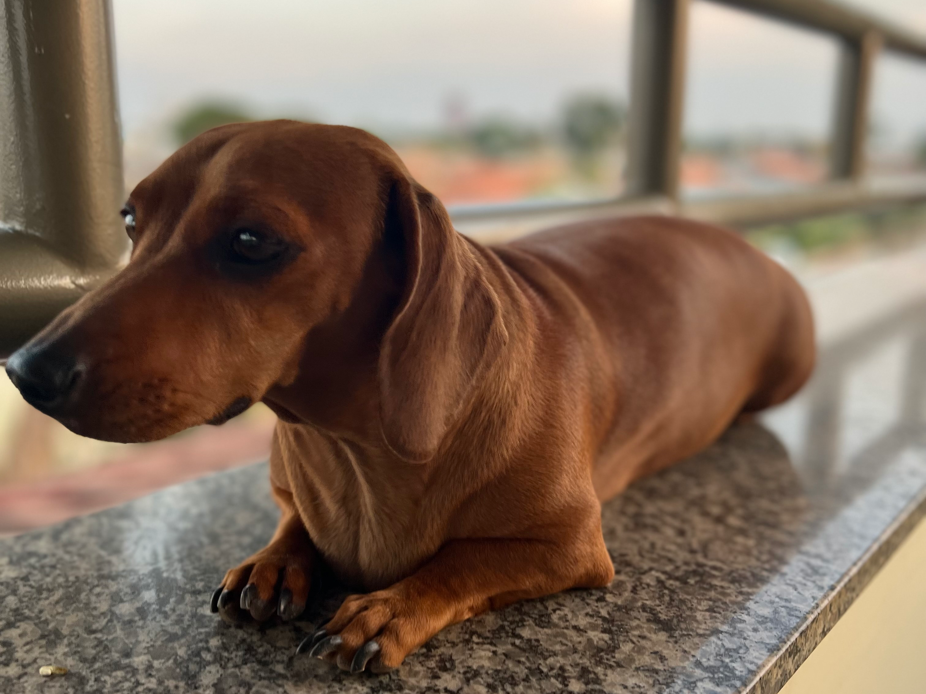Foto de Luna