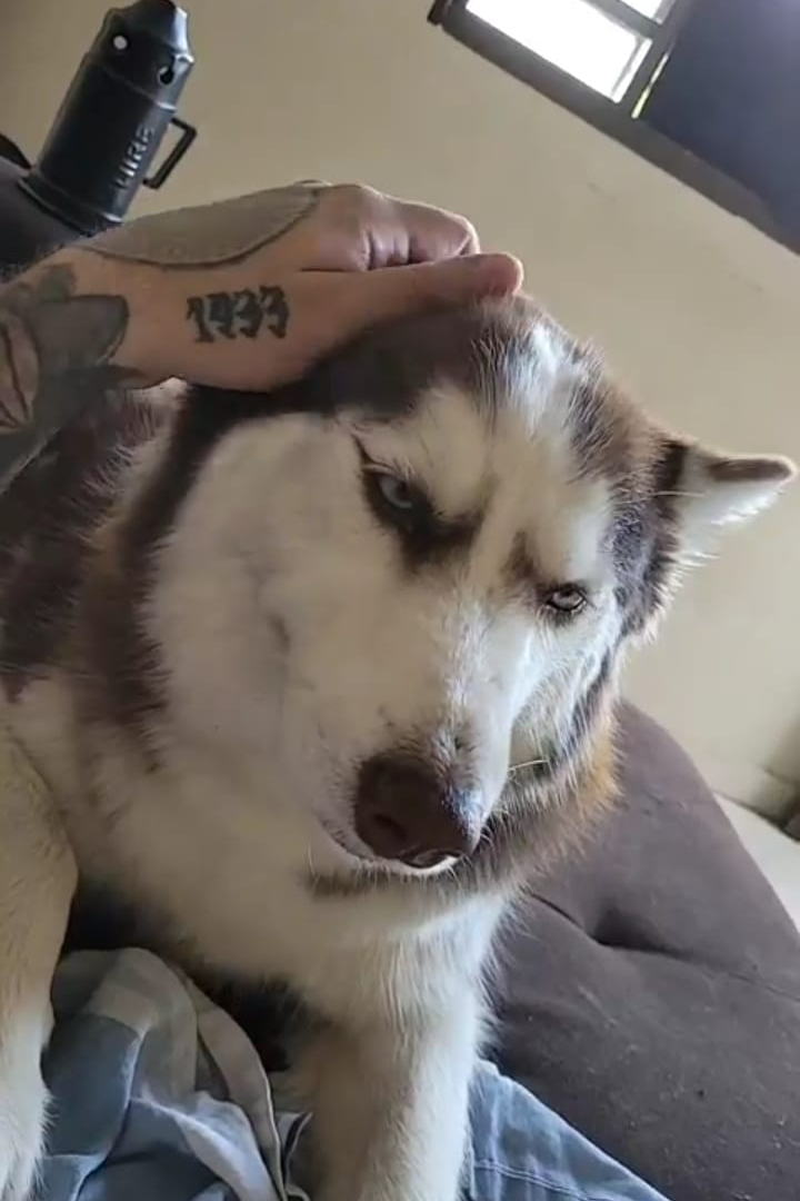 Foto de Luke e Yumi