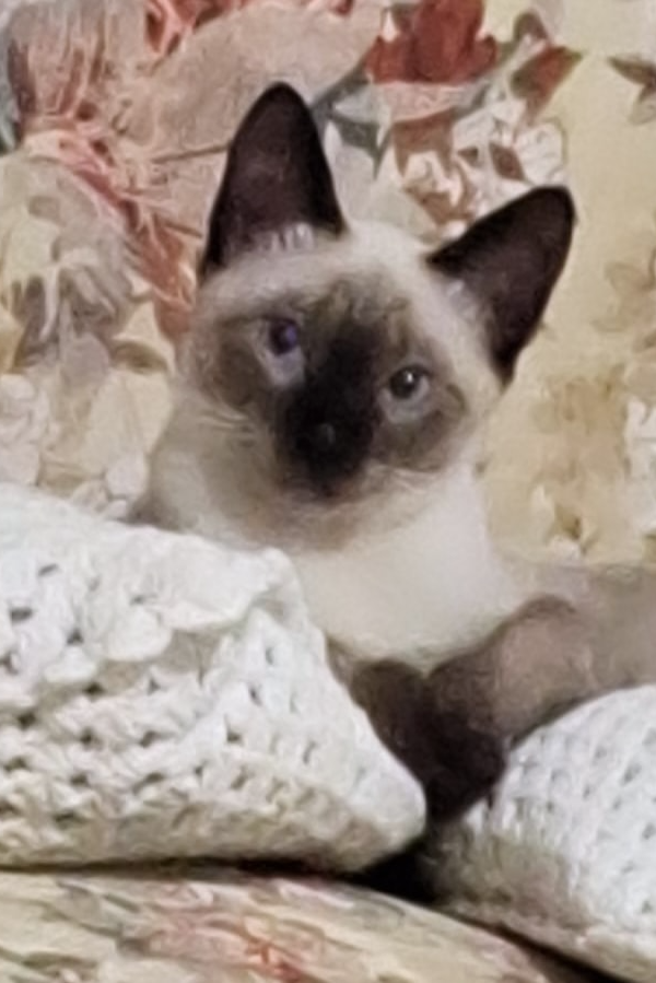 Foto de MAX