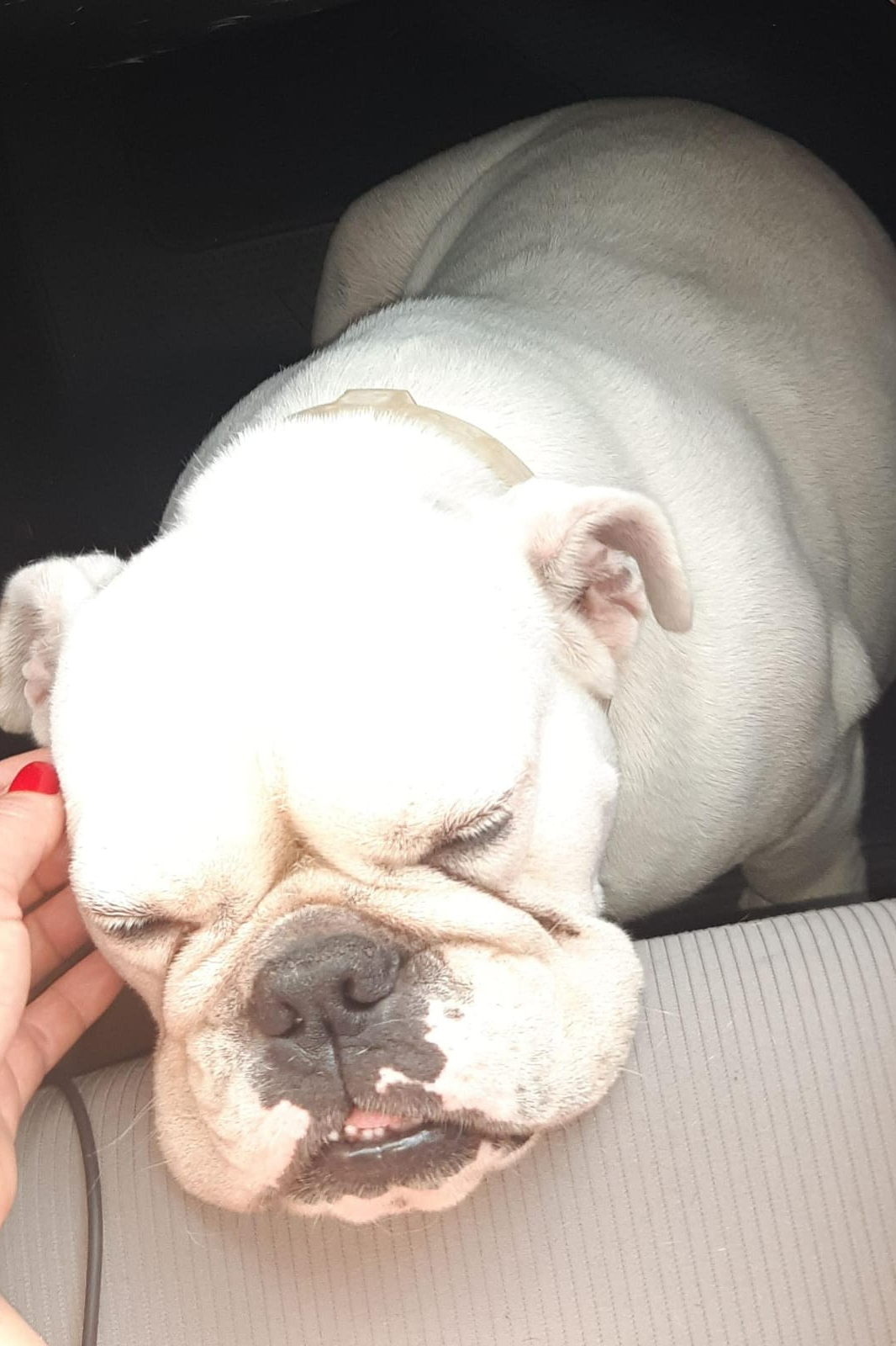 Foto de Princesa
