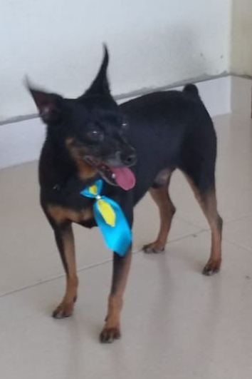 Foto de Max