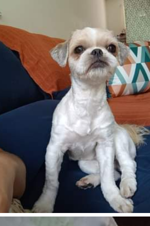 Foto de Julie