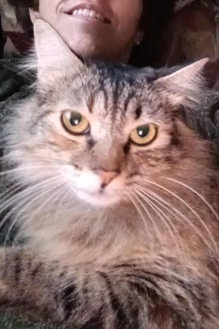 Foto de NALA