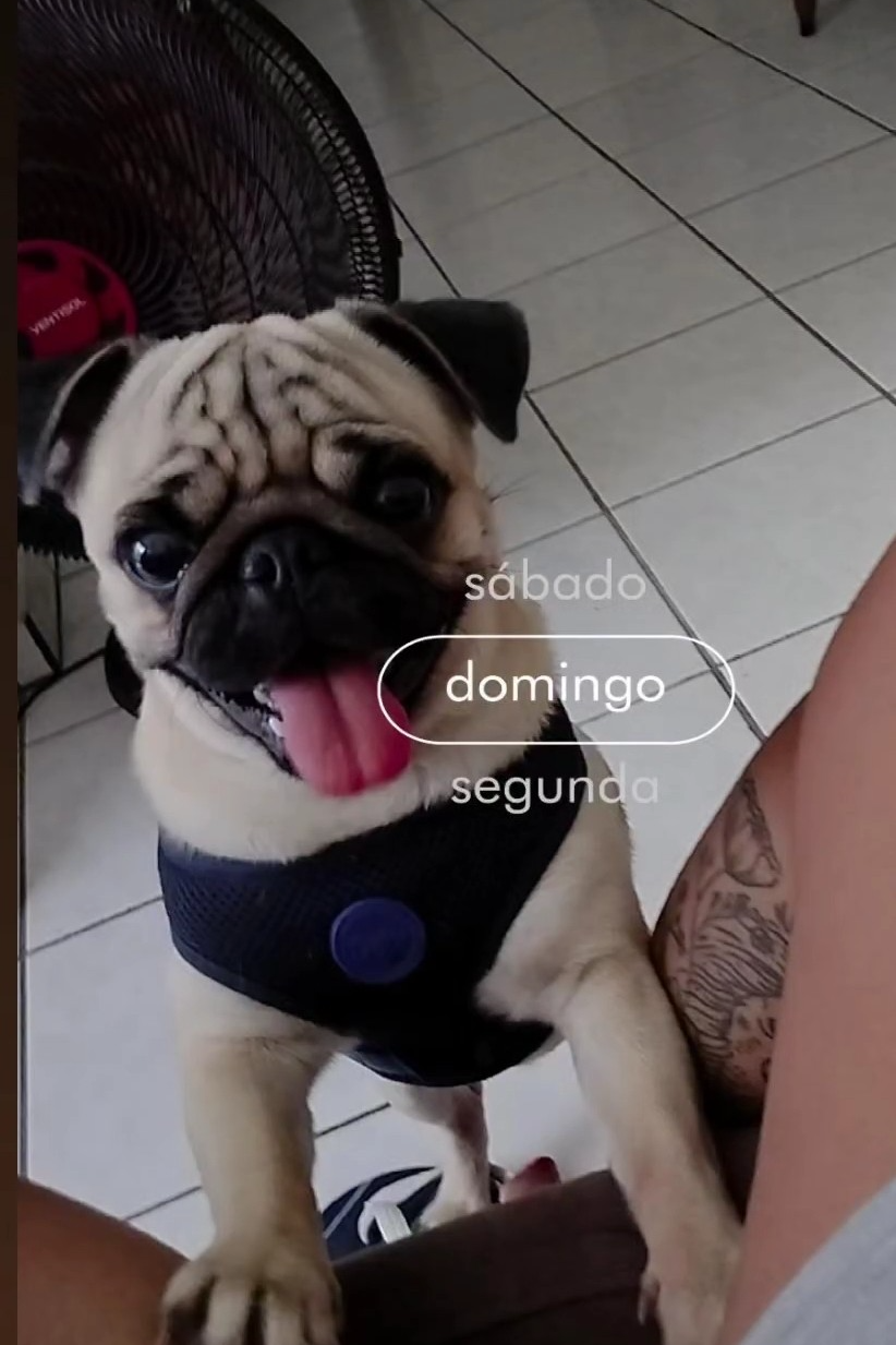 Foto de Frederico