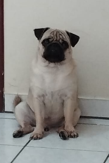 Foto de Frederico