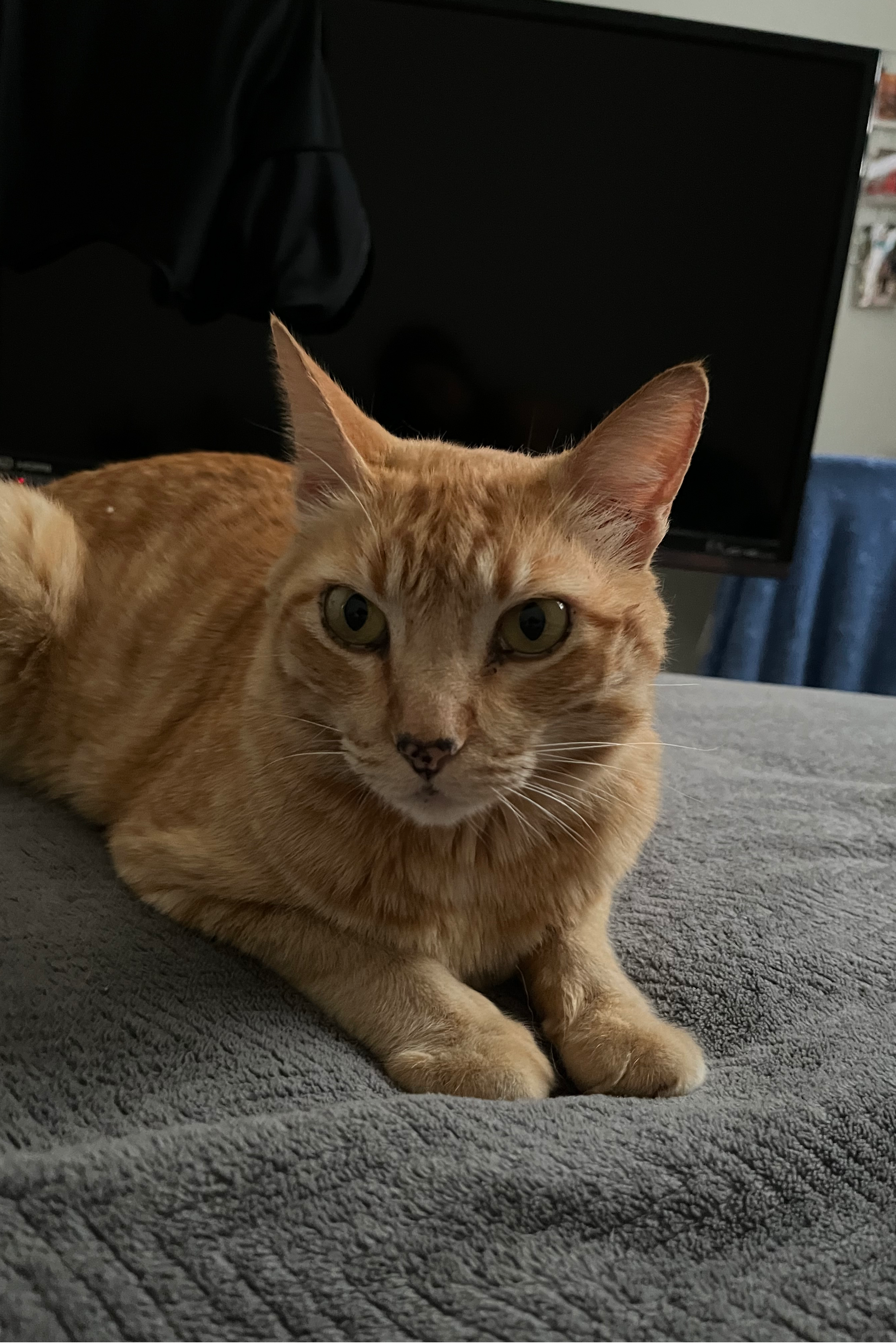 Foto de Bento