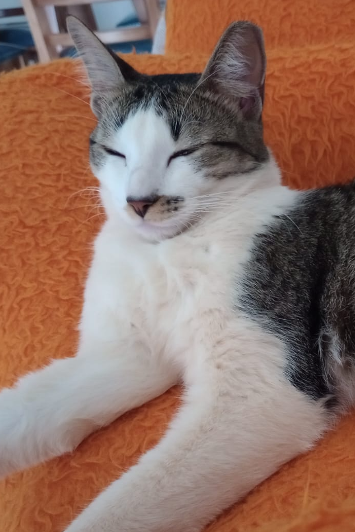 Foto de Nina