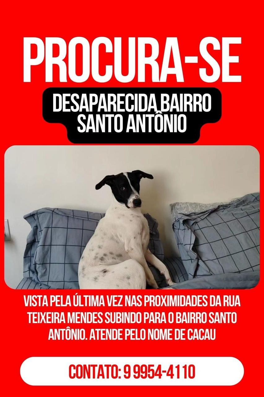 Foto de Cacau