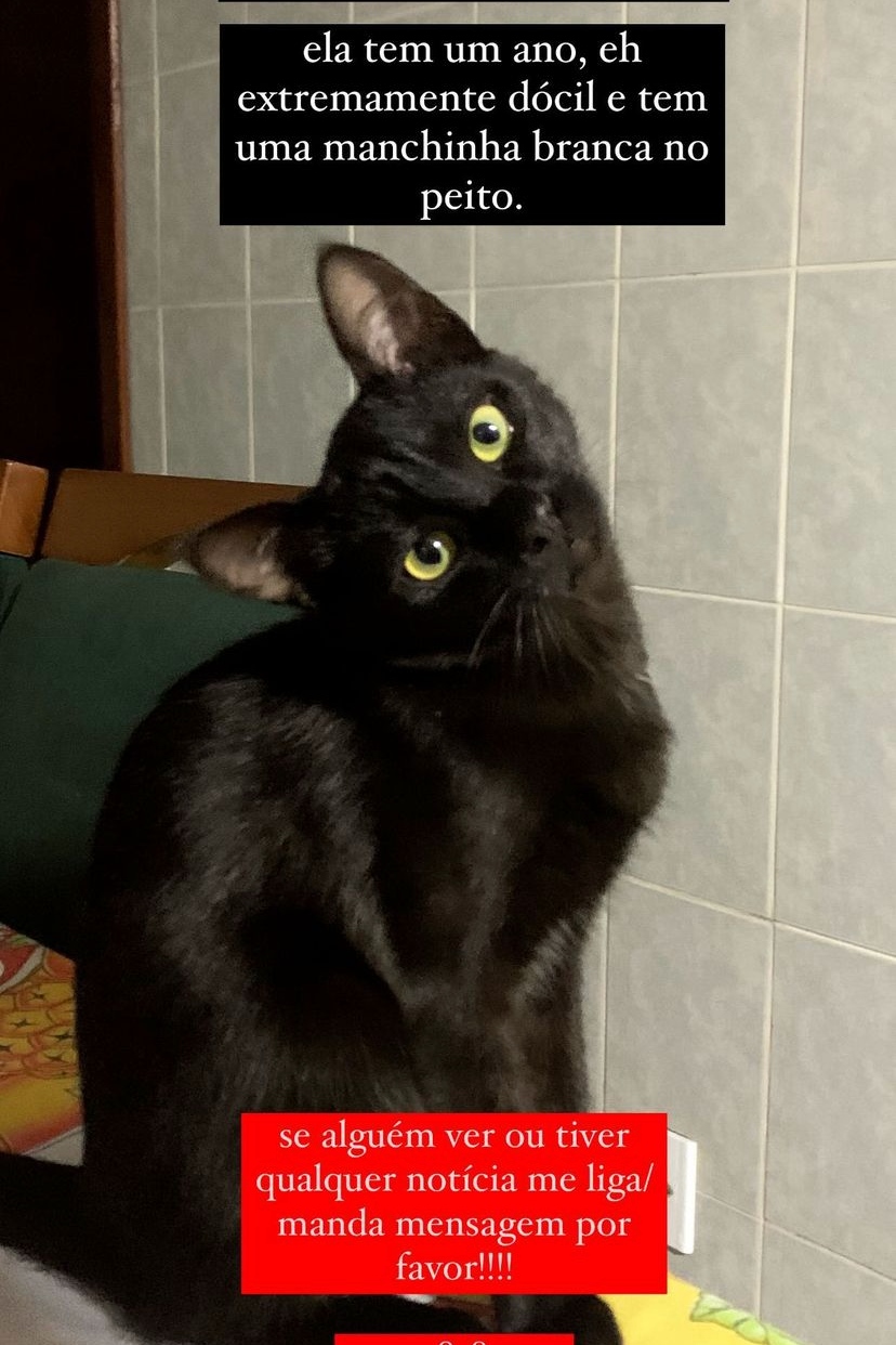 Foto de Tizzy