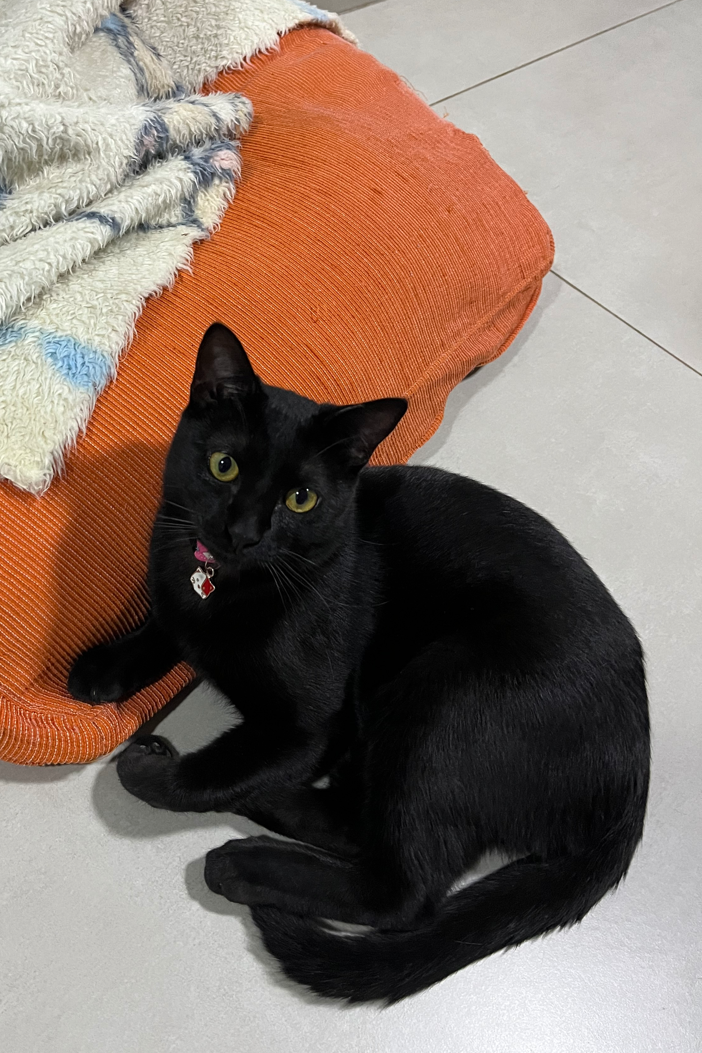 Foto de Cacau