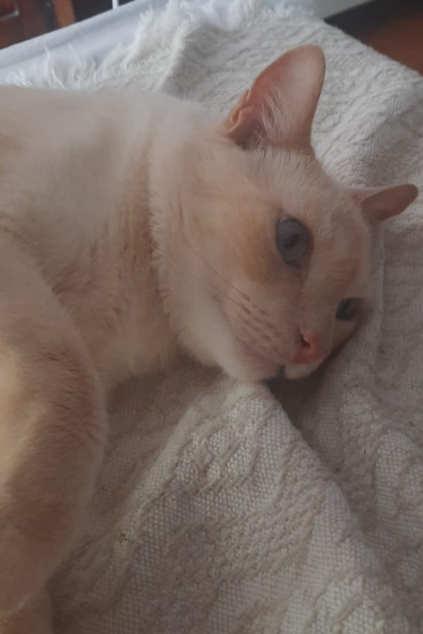 Foto de Milk