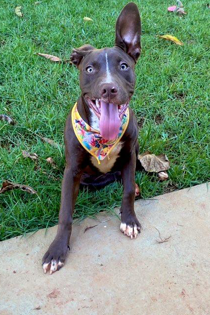 Foto de Atena