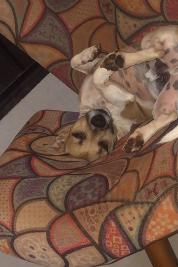 Foto de Billy