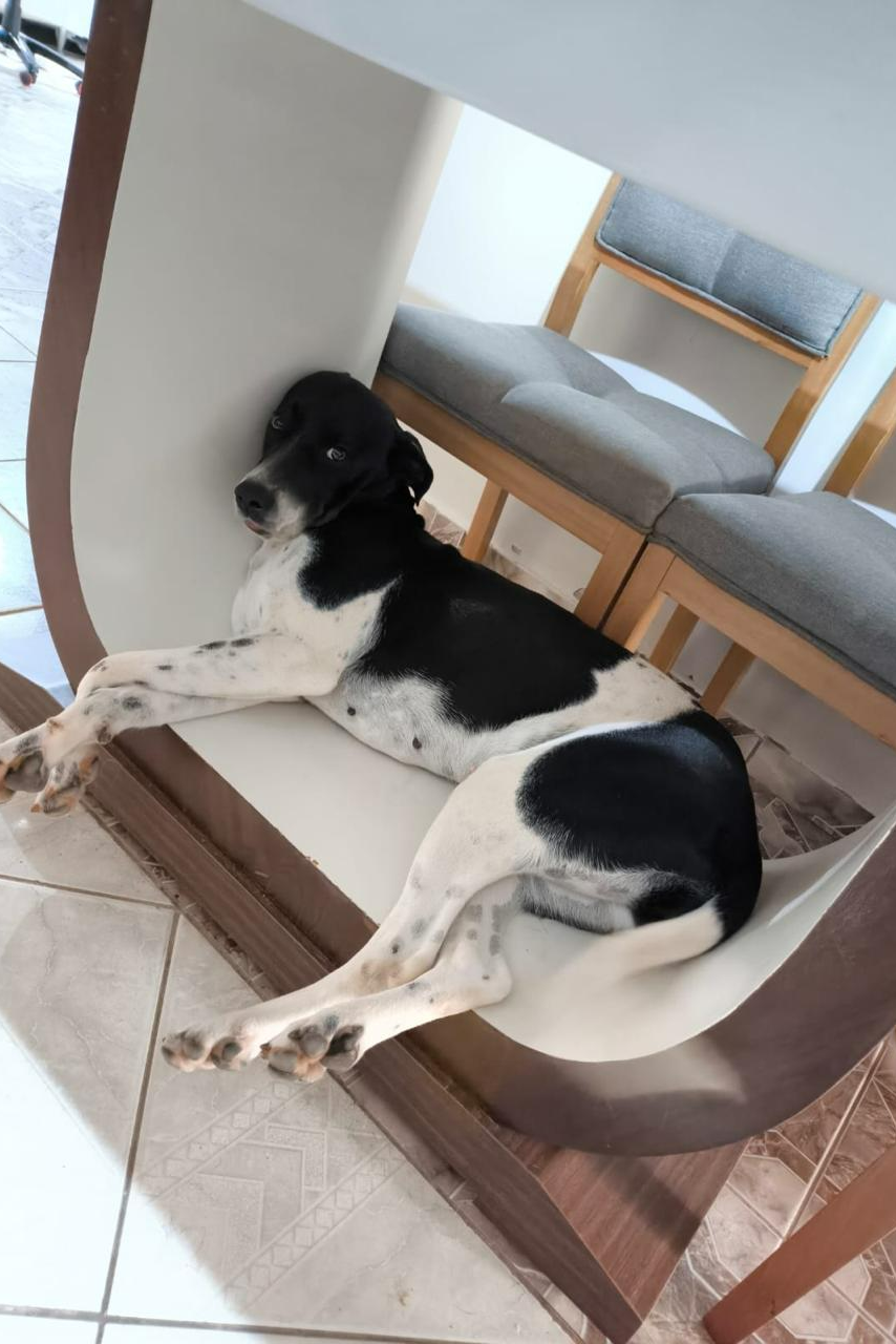 Foto de Maia
