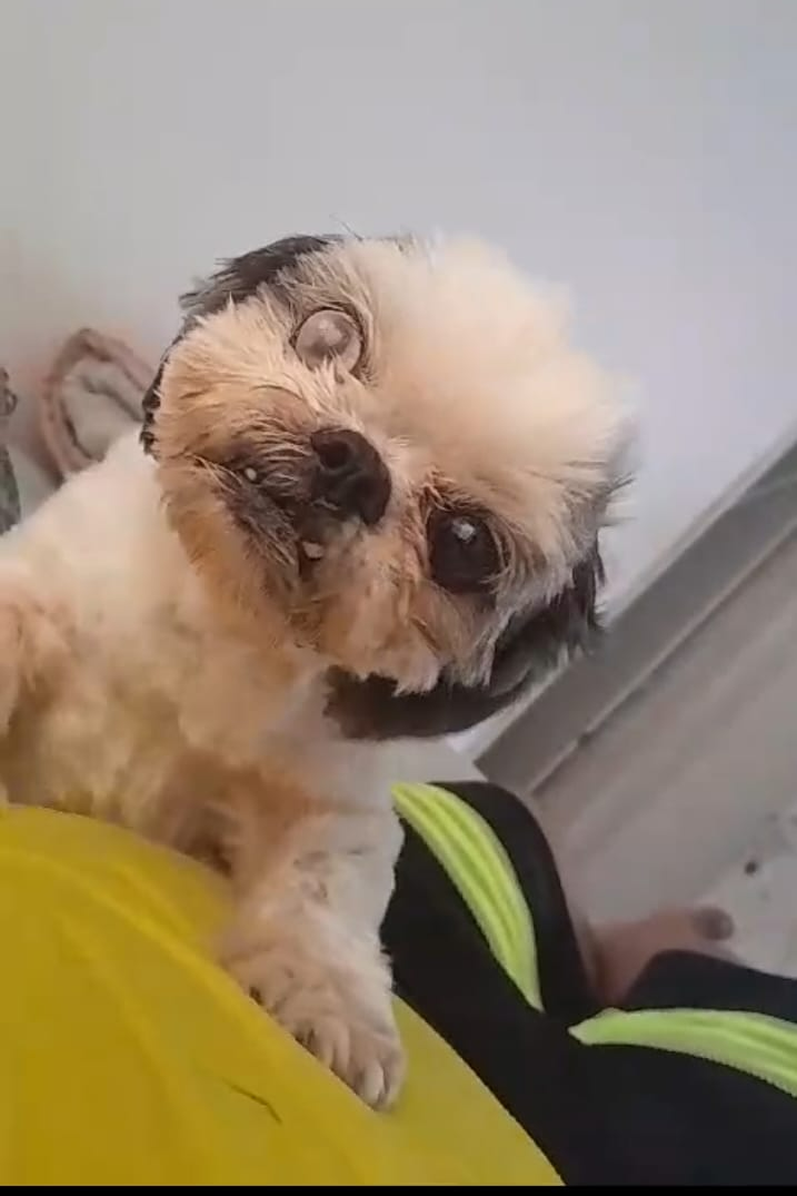 Foto de PRADA