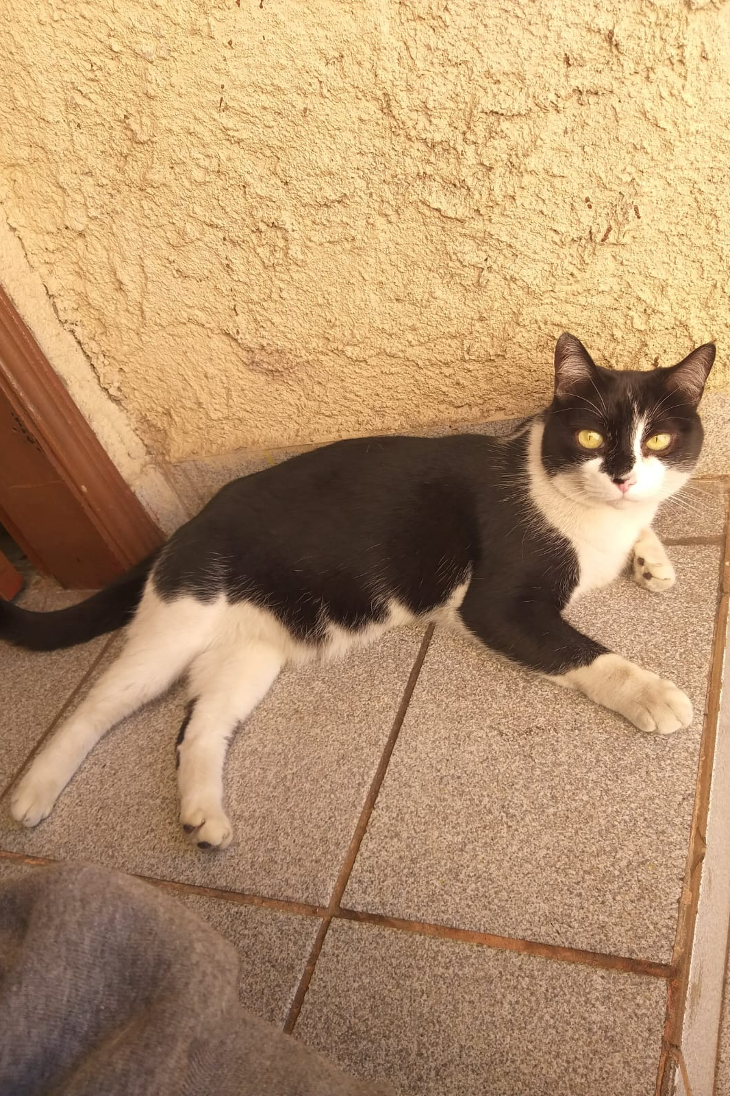 Foto de Frida