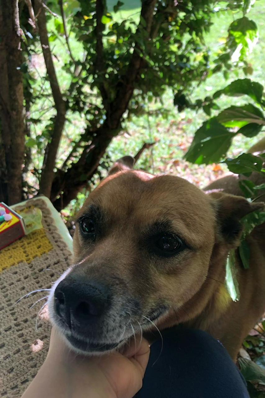 Foto de Nati