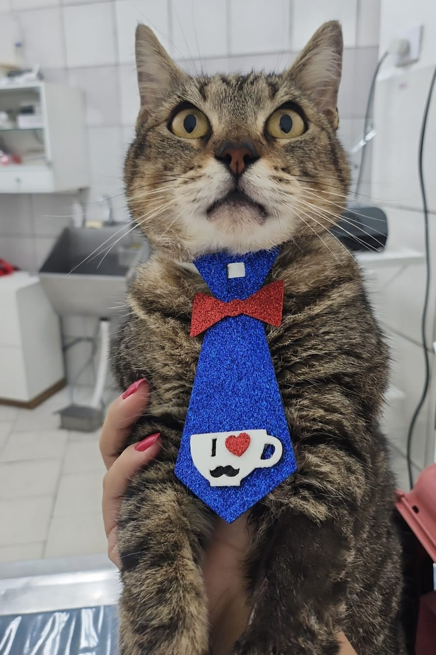 Foto de NINO