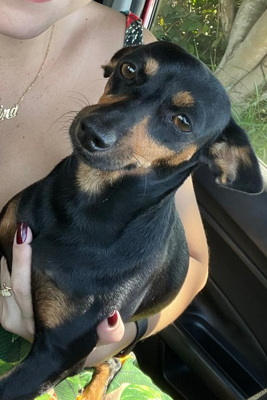 Foto de Chiquinha