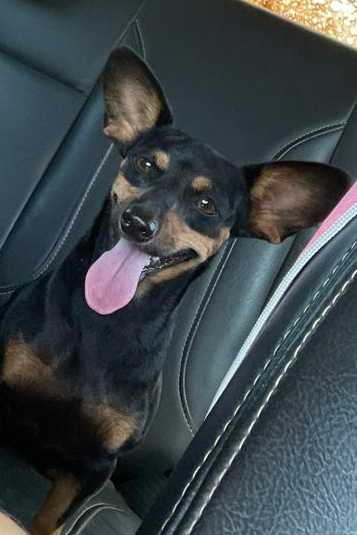 Foto de Chiquinha