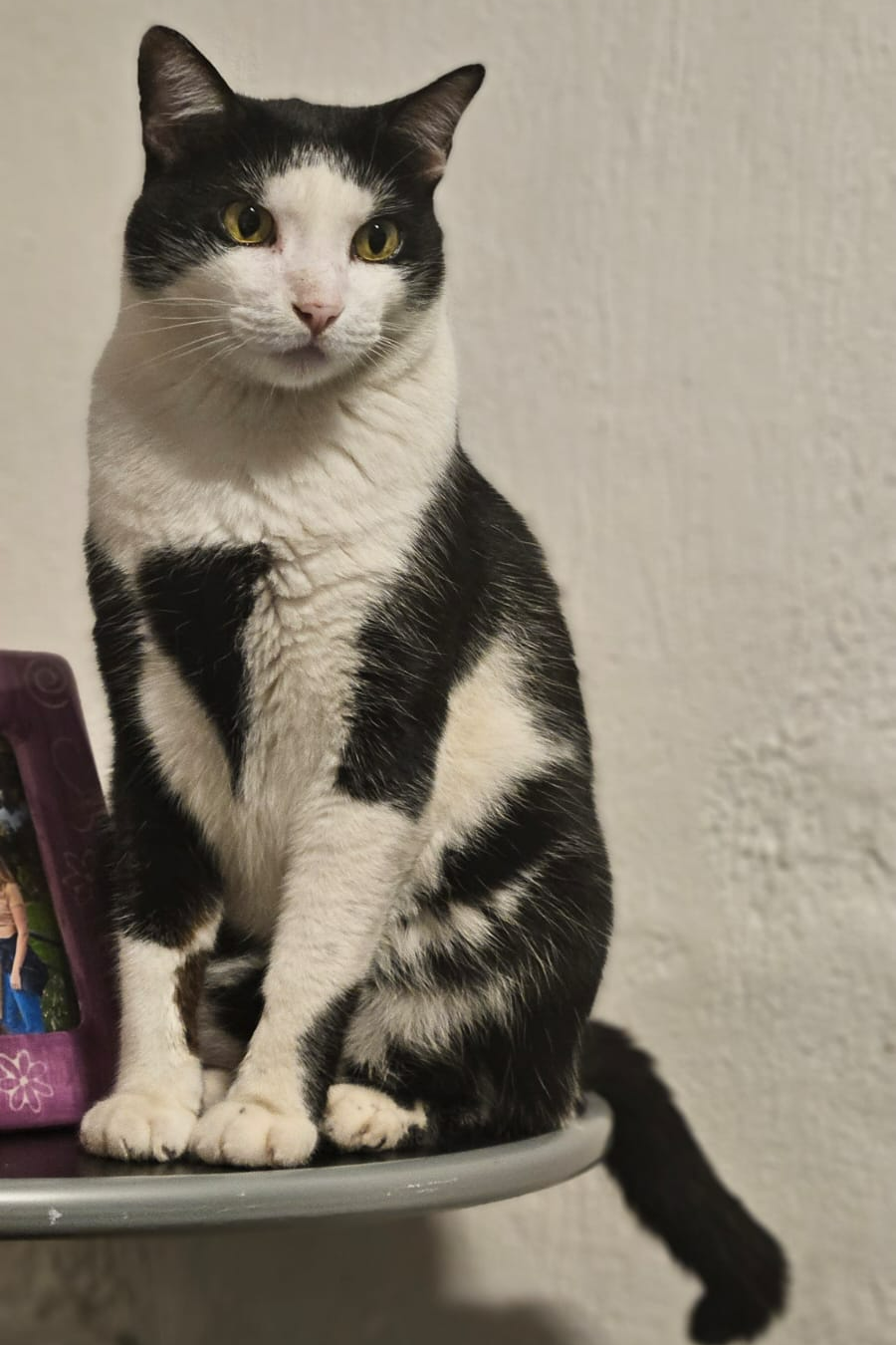 Foto de Pedro