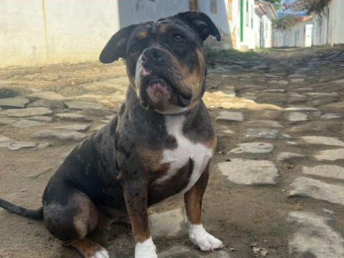 Foto de Betina