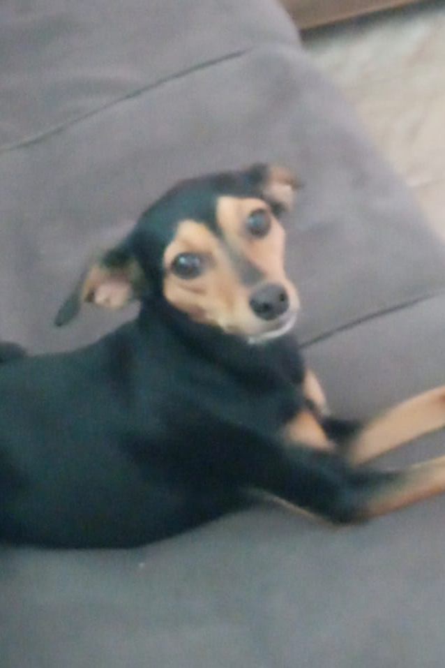 Foto de Amora