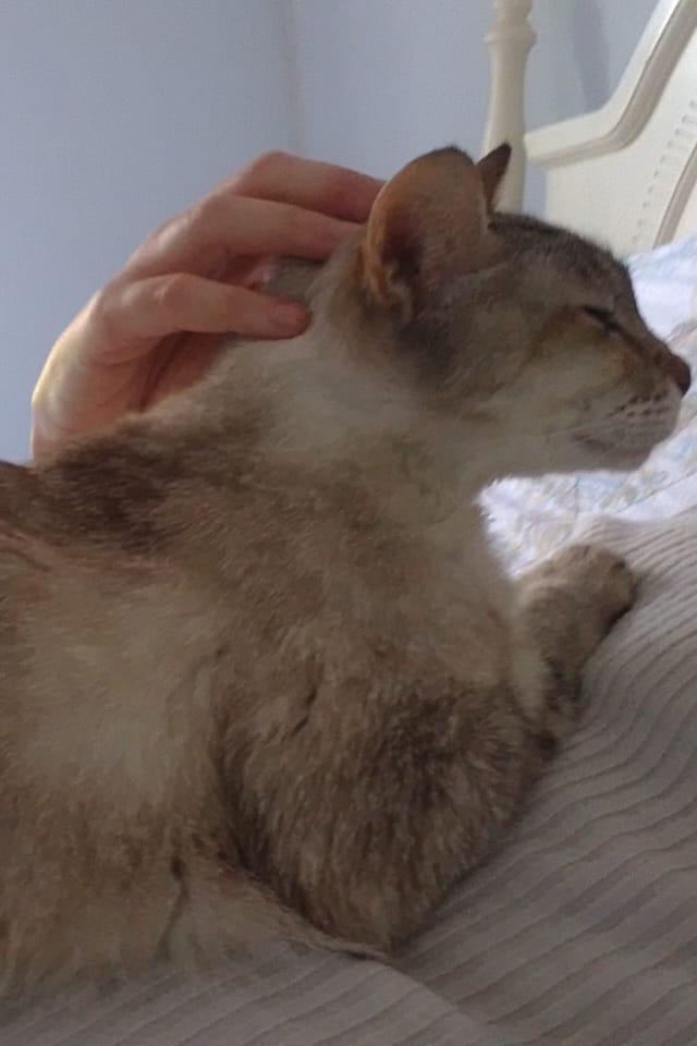 Foto de Laila