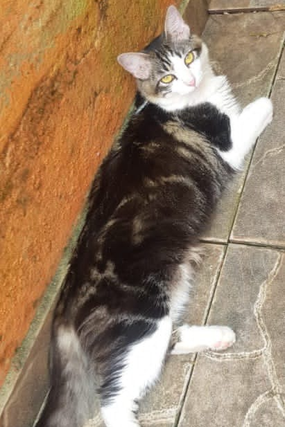 Foto de Lila