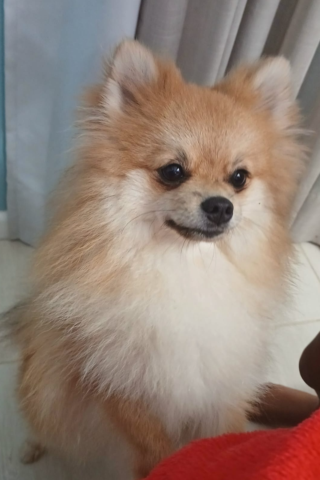 Foto de Theo