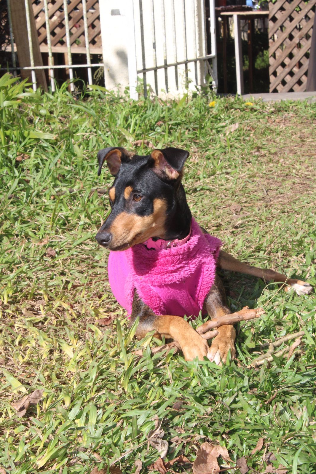 Foto de Huanna