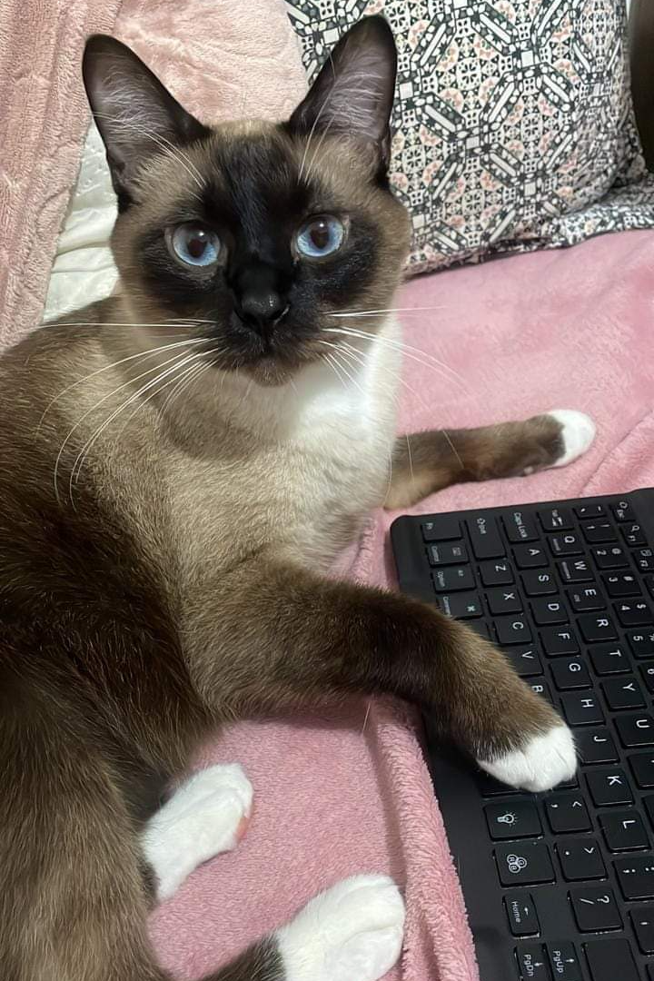 Foto de Quincas